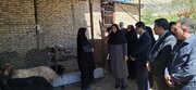 بازدید مدیرکل امور بانوان استانداری از طرح‌های اشتغال زنان سرپرست خانوار کلات