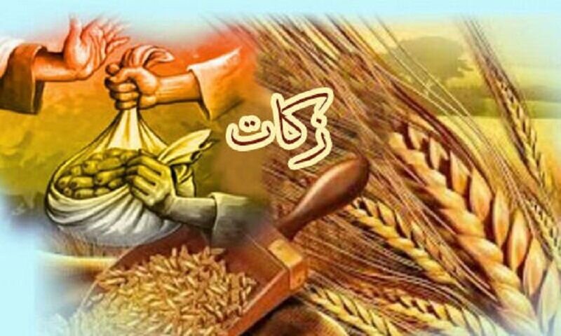 پرداخت یک میلیارد ریال زکات واجب به کمیته امداد تربت‌جام