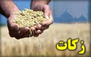 رشد ۸۰ درصدی پرداخت زکات واجب در خراسان رضوی
