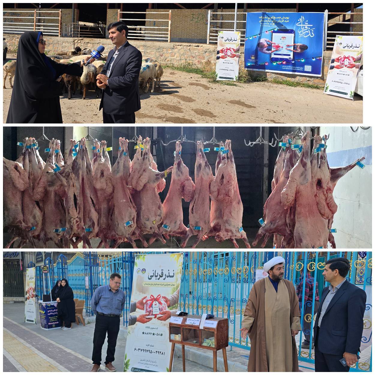 ۲۰۲ رأس دام سبک و سنگین ذبح و بین نیازمندان خراسان شمالی توزیع شد