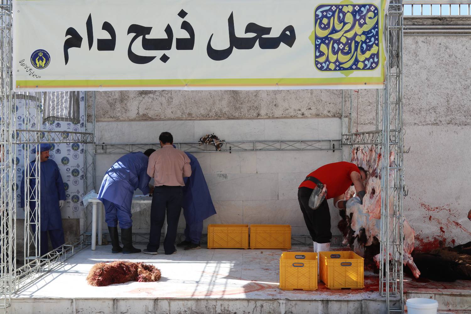 بازدید میدانی رئیس کمیته امداد از پایگاه‌های پویش نذر قربانی